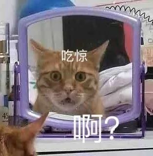 DƬ